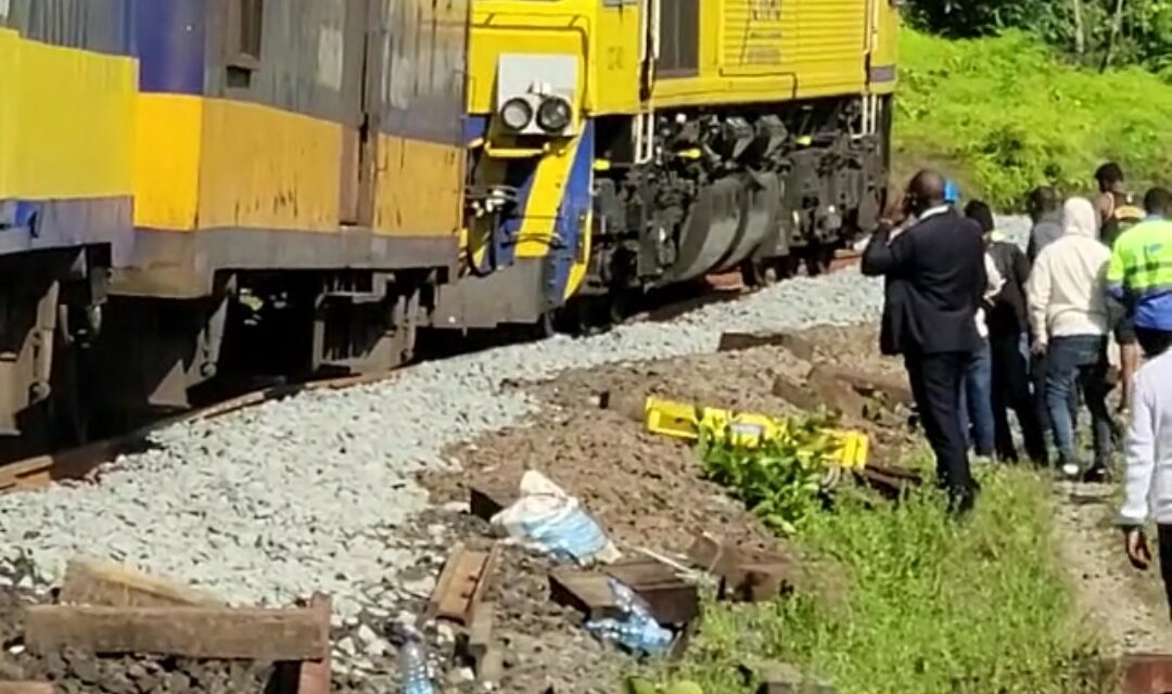 Incidents de trains du dimanche 02 avril 2023:  le trafic  momentanément suspendu