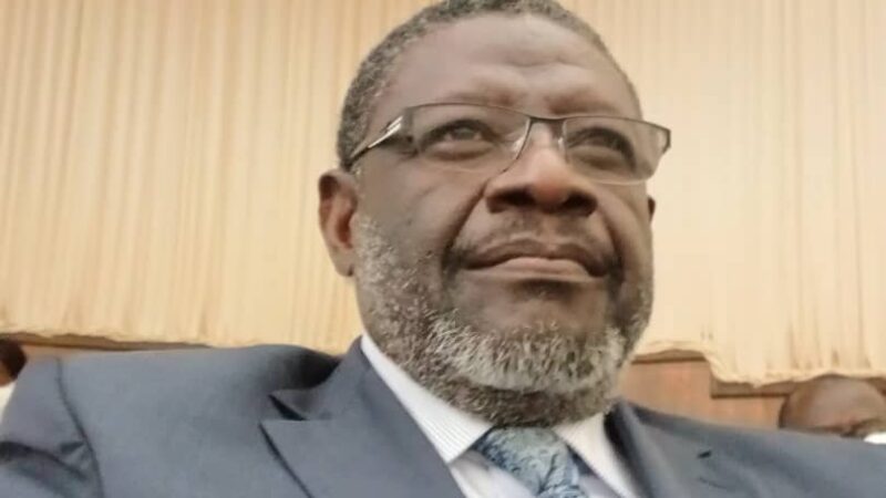 BTP au Gabon : Essor prometteur ou mirage économique ? Francis Jean Jacques EVOUNA lève le voile !