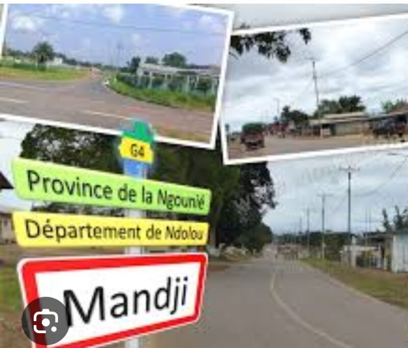 Le PDG ébranlé à Mandji-Ndoulou : Maryse Matsanga Mayila quitte le navire